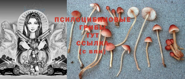 первитин Белокуриха